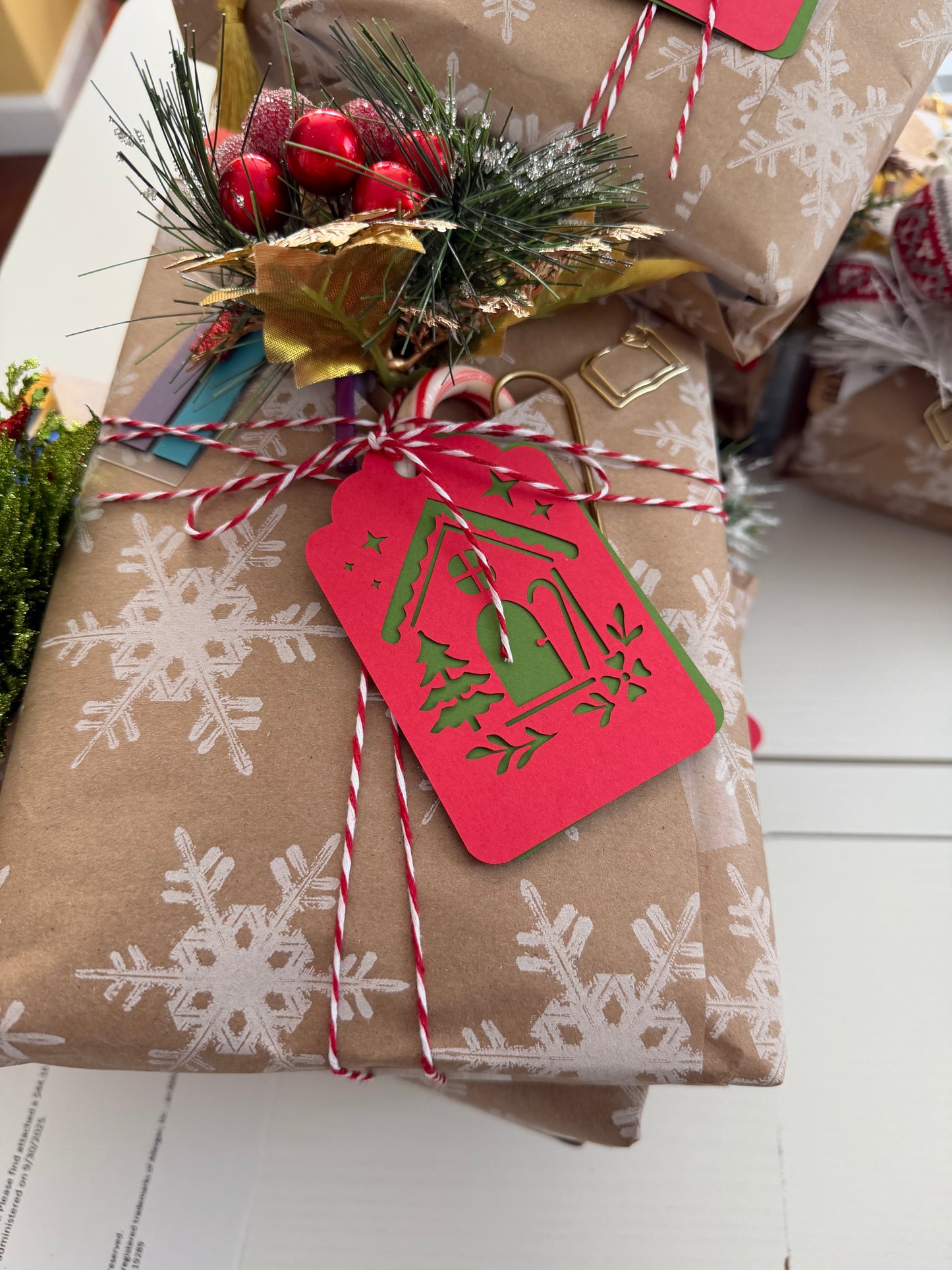 Blind Date With A Book Women’s Fiction (11)